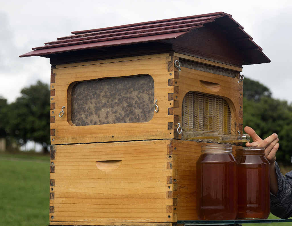 IT’S A HIT: Cedar and Stuart Anderson’s Flow Hive has taken off all over the world. PHOTO: ELIZABETH MILNE IT’S A HIT: Cedar and Stuart Anderson’s Flow Hive has taken off all over the world. PHOTO: ELIZABETH MILNE